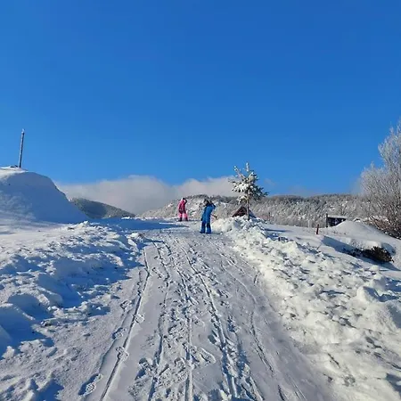 Vikendica Rankovici Holiday home *