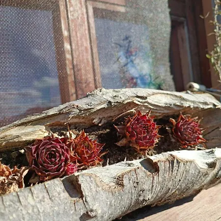 Vikendica Rankovici Holiday home Mokra Gora