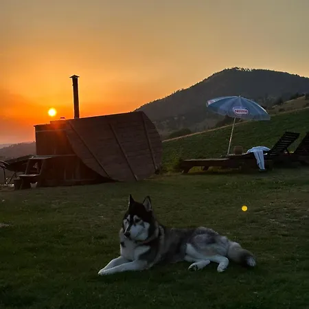 Vikendica Rankovici
