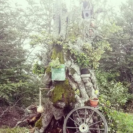 Vikendica Rankovici Vikendica Mokra Gora