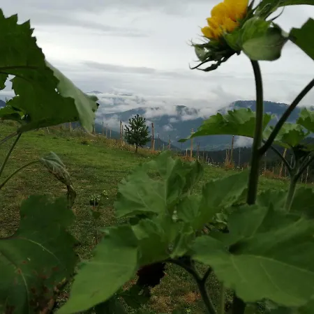 Holiday home Vikendica Rankovici *