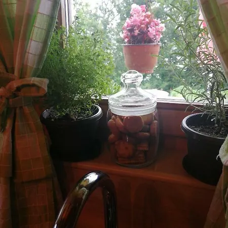 Holiday home Vikendica Rankovici