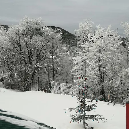 Vikendica Rankovici Holiday home Mokra Gora