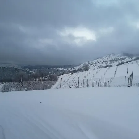 Vikendica Rankovici Holiday home Mokra Gora