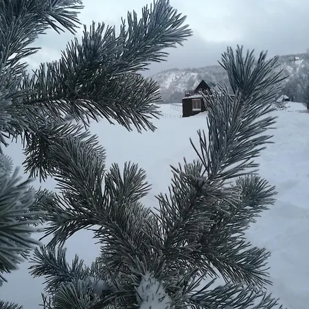 Vikendica Rankovici * Mokra Gora
