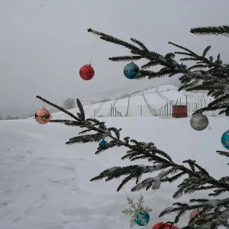 Vikendica Rankovici * Mokra Gora