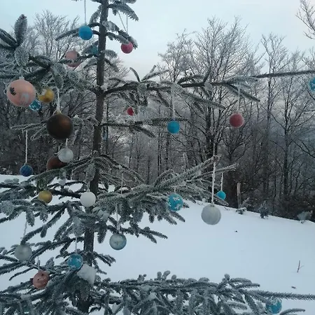 Vikendica Rankovici