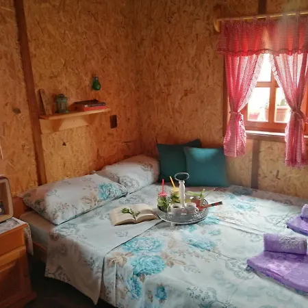 Vikendica Rankovici * Mokra Gora