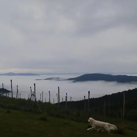 Vikendica Rankovici Holiday home