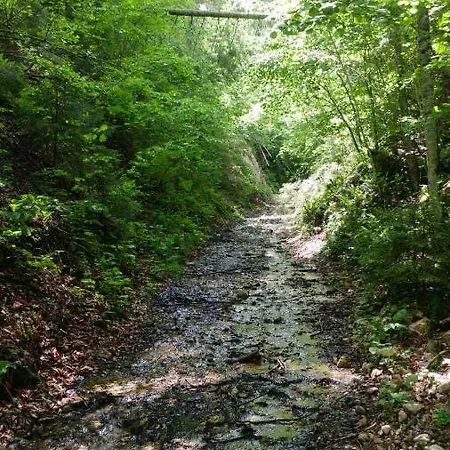 Vikendica Rankovici Mokra Gora